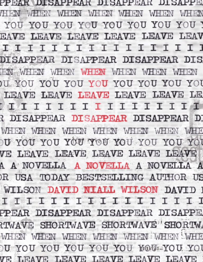 When You Leave I Disappear David Niall Wilson Kitap Kapağı