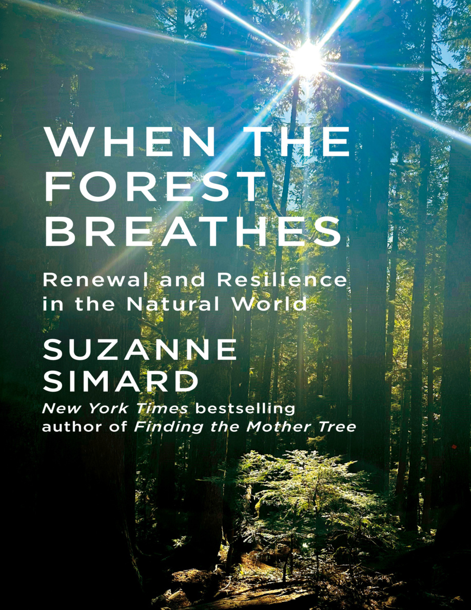 When the Forest Breathes PDF Download