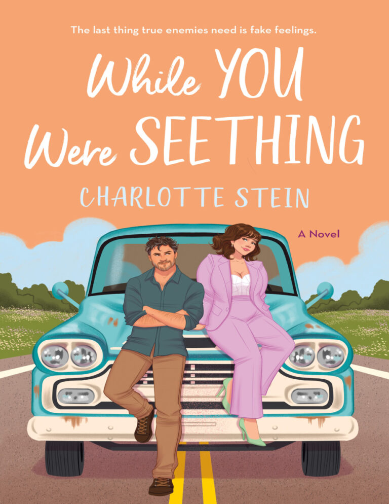 While You Were Seething Charlotte Stein Kitap Kapağı