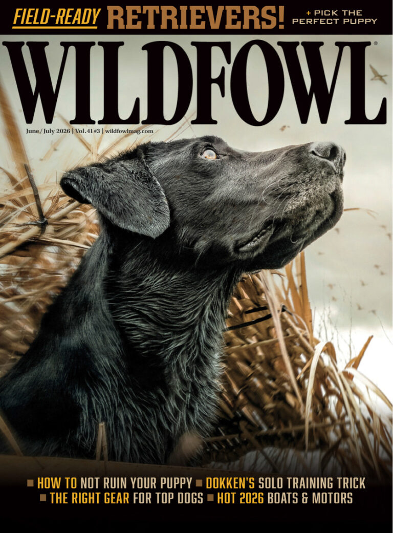 Wildfowl Vol 41 Issue 3 JuneJuly 2026 Wildfowl Kitap Kapağı