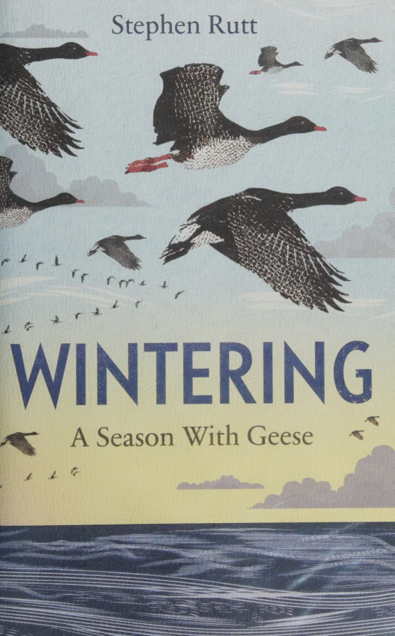 Wintering A Season With Geese PDF Download