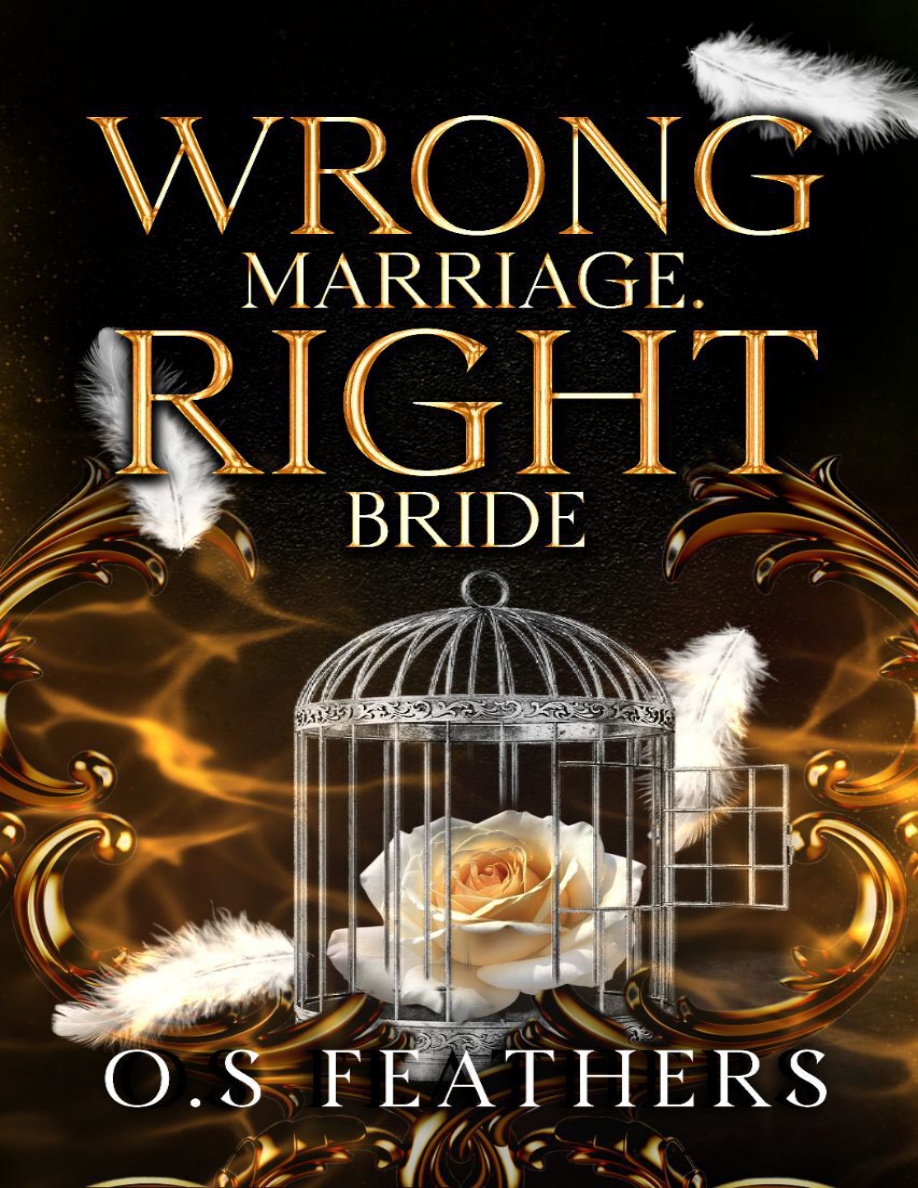 Wrong Marriage, Right Bride PDF Download