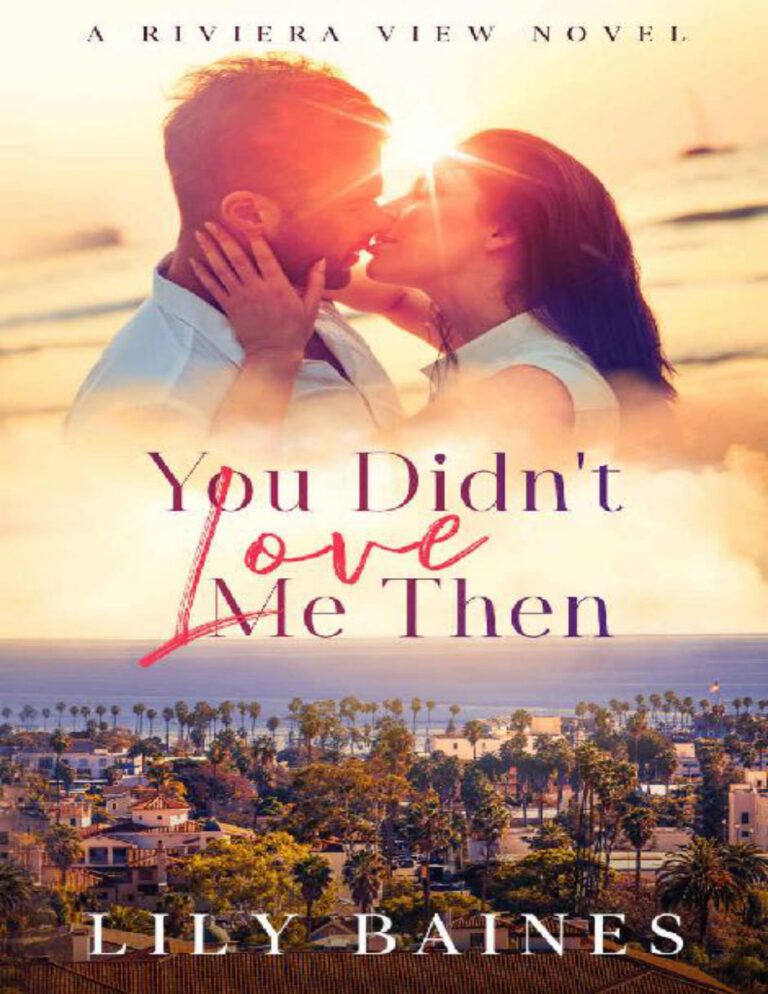 You Didnt Love Me Then Lily Baines Kitap Kapağı