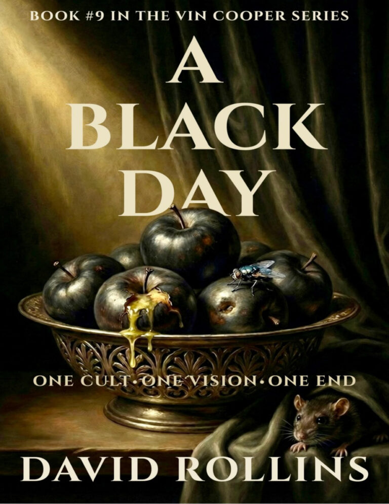 A Black Day Vin Cooper 9 David Rollins Kitap Kapağı