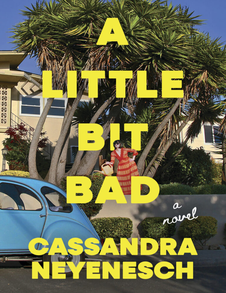 A Little Bit Bad Cassandra Neyenesch Kitap Kapağı