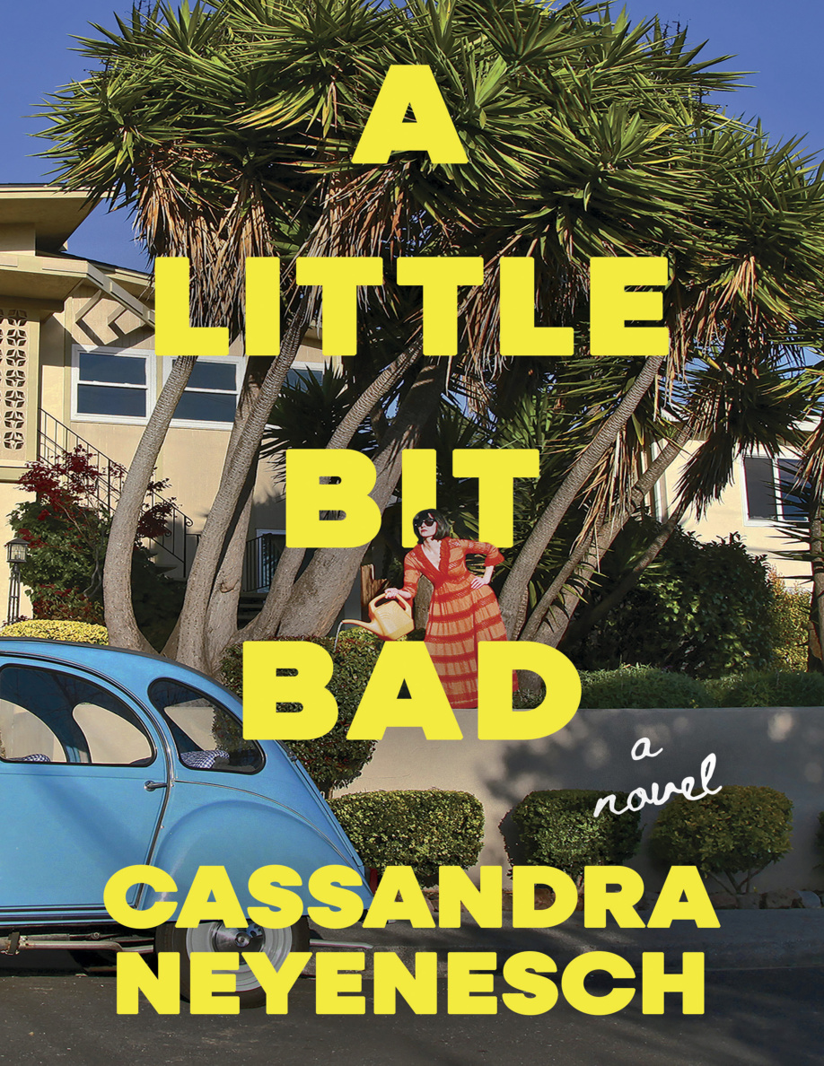 A Little Bit Bad PDF Download