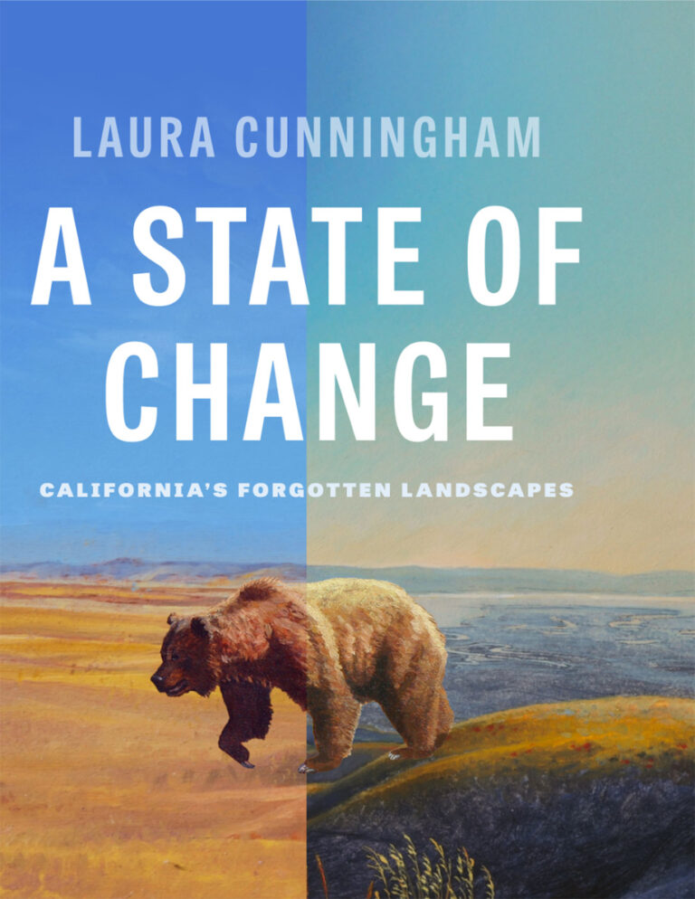 A State of Change Laura Cunningham Kitap Kapağı