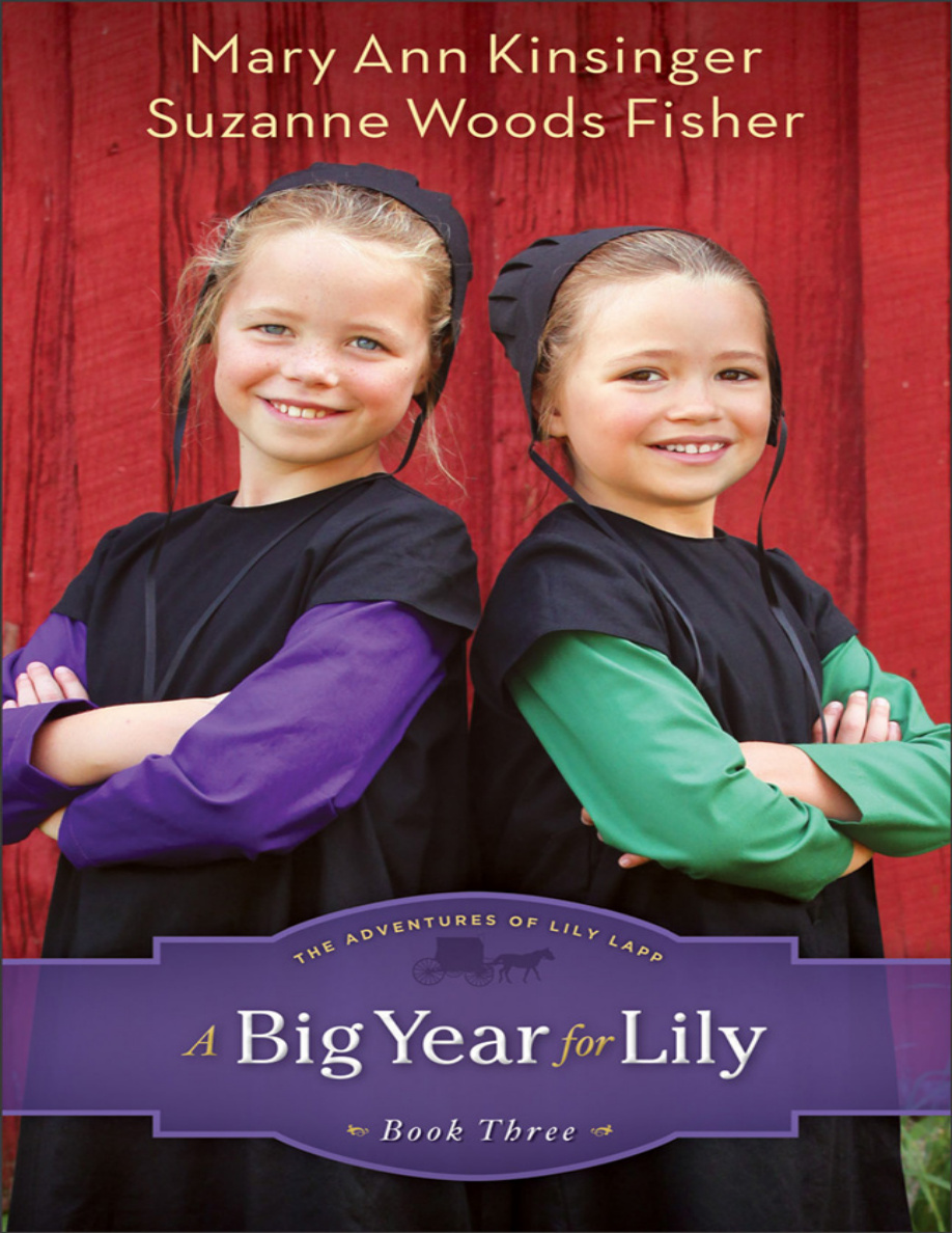 A big year for Lily Mary Ann Kinsinger Kitap Kapağı