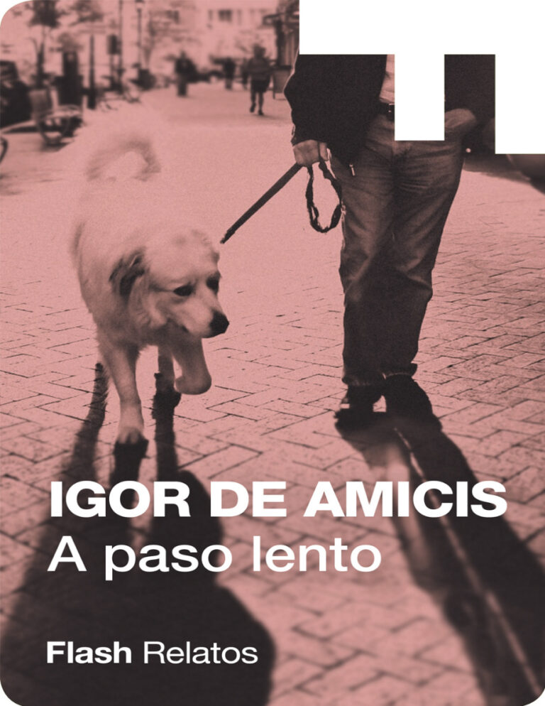 A paso lento Spanish Edition Igor De Amicis Kitap Kapağı