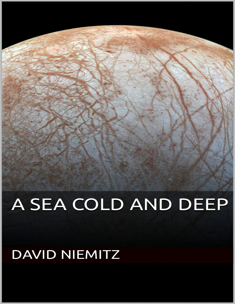 A sea cold and deep David Niemitz Kitap Kapağı