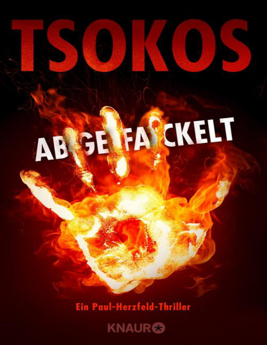 Abgefackelt PDF Download