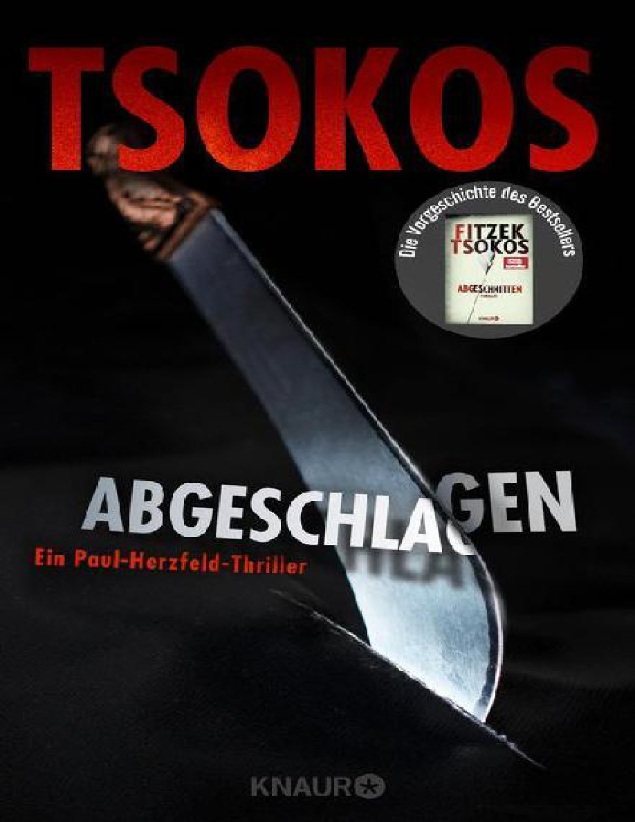 Abgeschlagen PDF Download