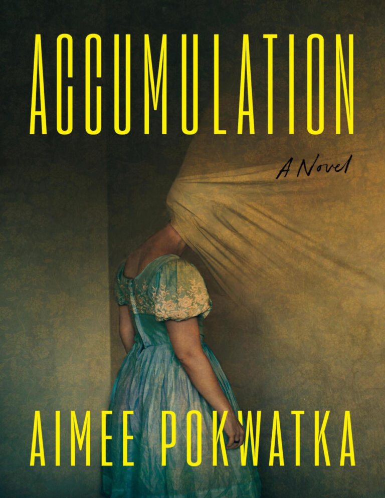 Accumulation Aimee Pokwatka Kitap Kapağı
