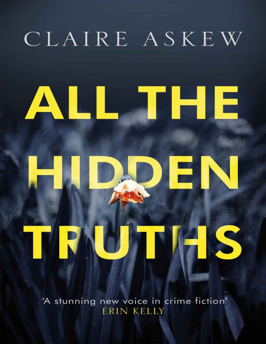 All The Hidden Truths Claire Askew Kitap Kapağı