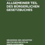 Allgemeiner Teil des Burgerlichen Gesetzbuches German Edition Paul Posener Kitap Kapağı