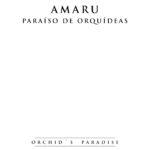 Amaru paraiso de las orquideas Huancavelica Spanish Edition Benjamin Collantes Kitap Kapağı