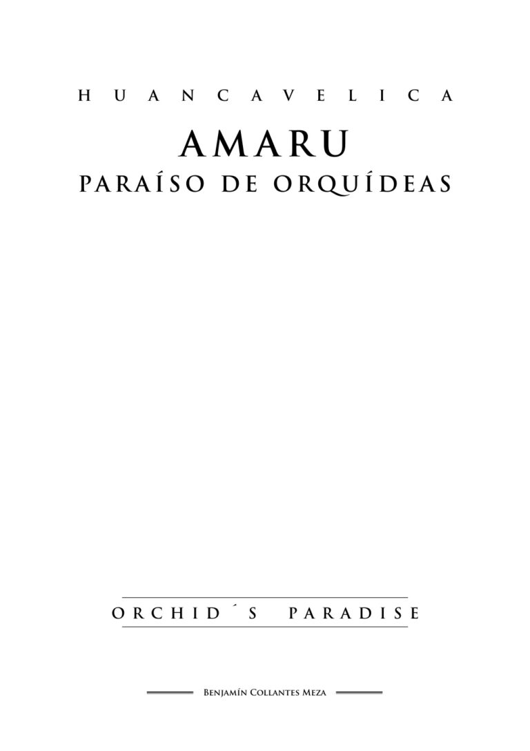 Amaru paraiso de las orquideas Huancavelica Spanish Edition Benjamin Collantes Kitap Kapağı