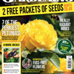 Amateur Gardening 6 June 2026 Amateur Gardening Kitap Kapağı