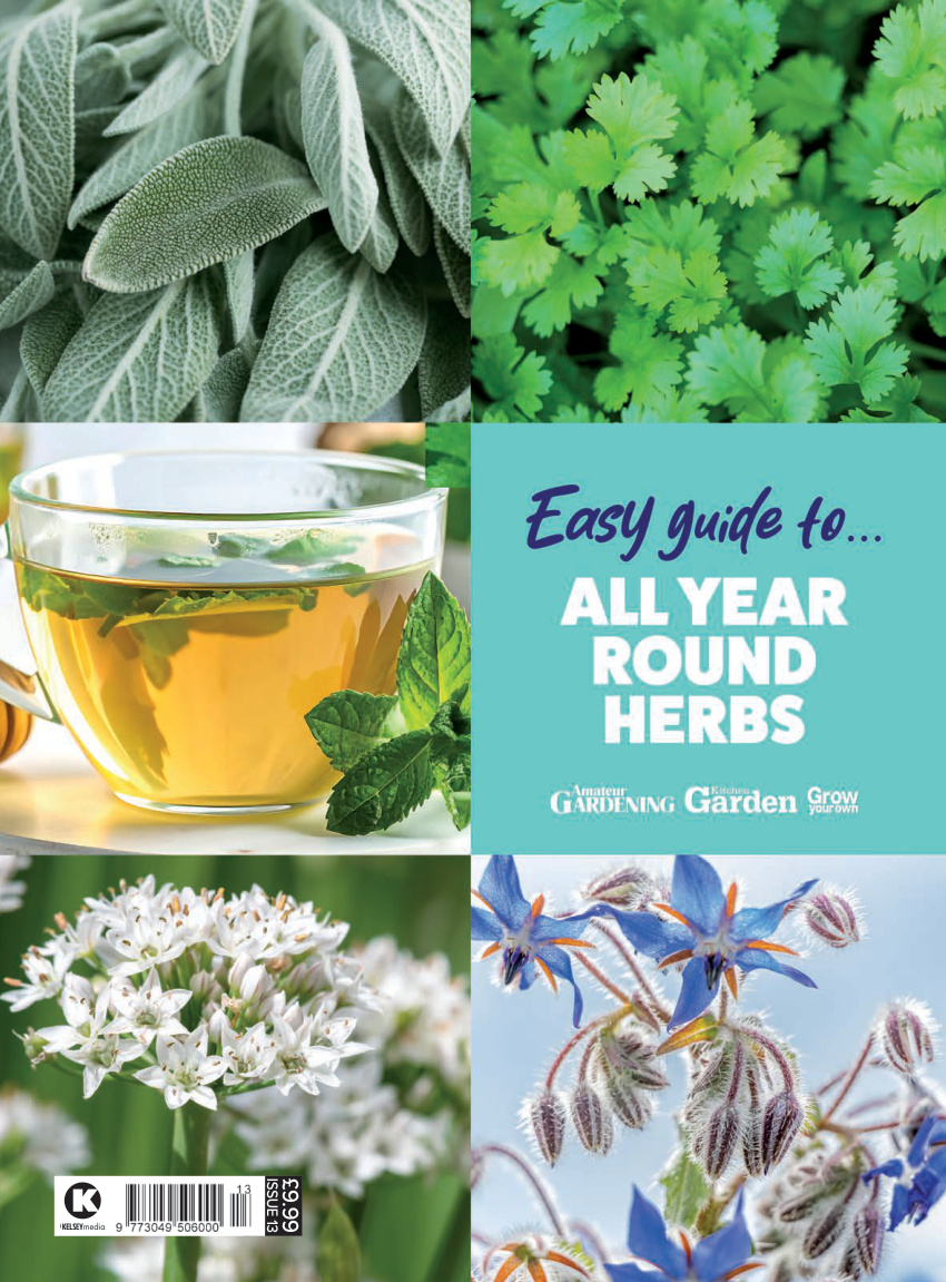 Amateur Gardening Easy Guide To Issue 13 All Year Herbs 2026 Amateur Gardening Easy Guide To Kitap Kapağı