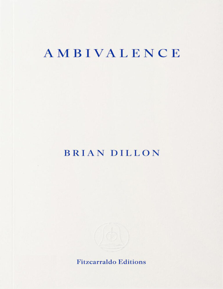 Ambivalence An Education Brian Dillon Kitap Kapağı