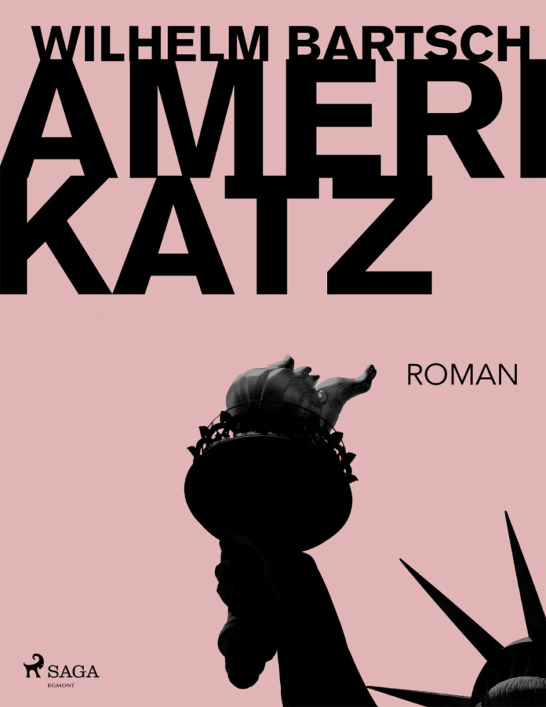 Amerikatz German Edition Wilhelm Bartsch Kitap Kapağı