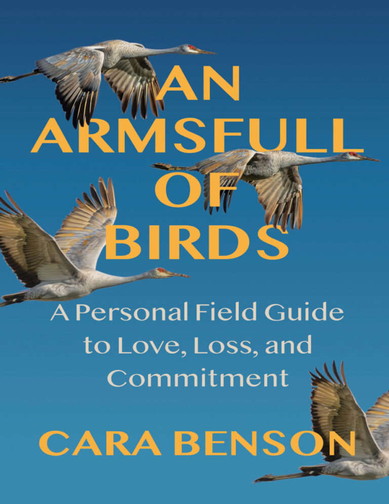 An Armsfull of Birds Cara Benson Kitap Kapağı