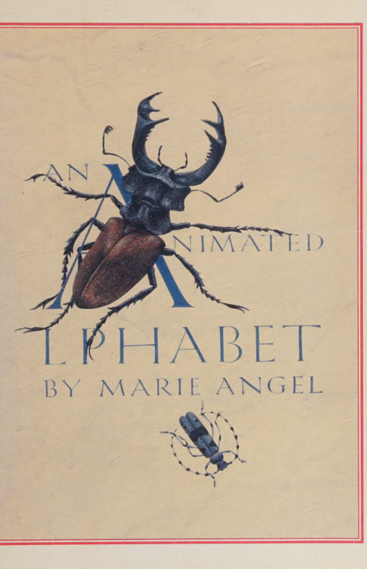 An animated alphabet Marie Angel Kitap Kapağı