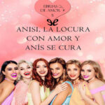 Anisi la locura con amor y anis se cura Spanish Edition Ava Cleyton Kitap Kapağı