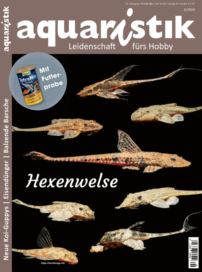 Aquaristik Nr6 NovemberDezember 2024 GER Aquaristik Kitap Kapağı