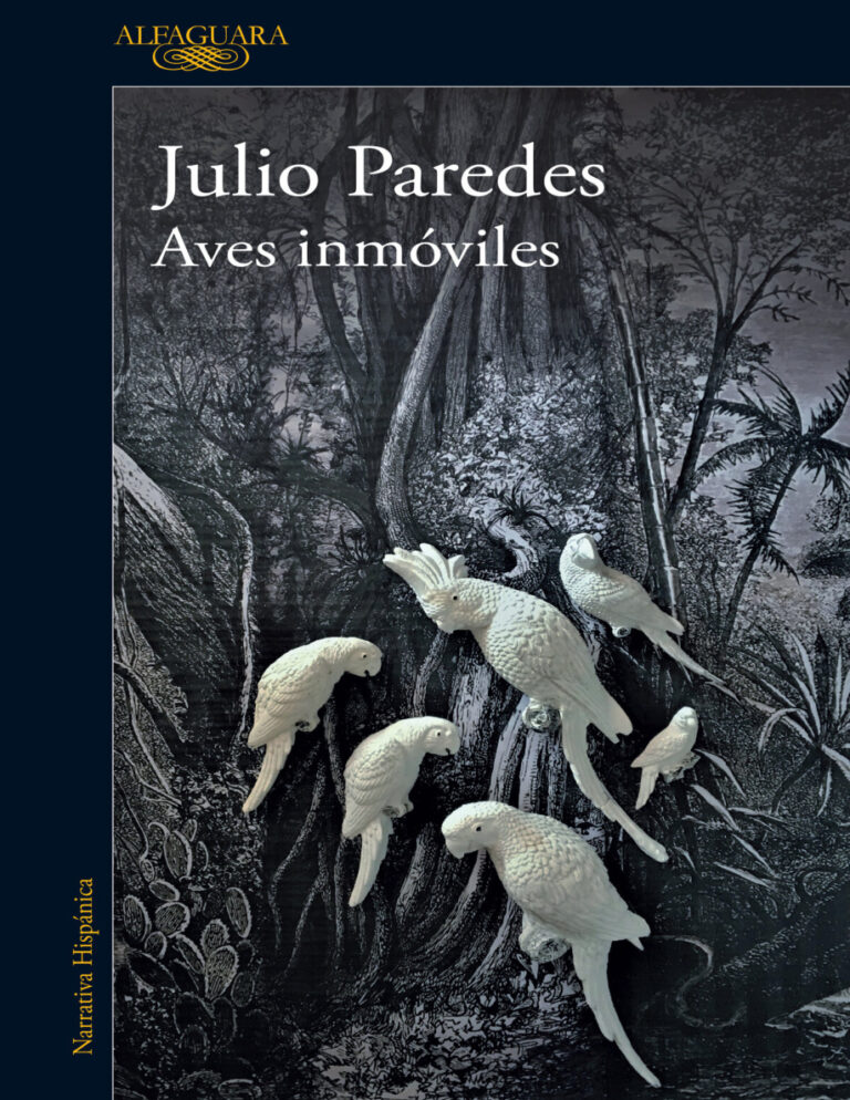 Aves inmoviles Spanish Edition Julio Paredes Kitap Kapağı