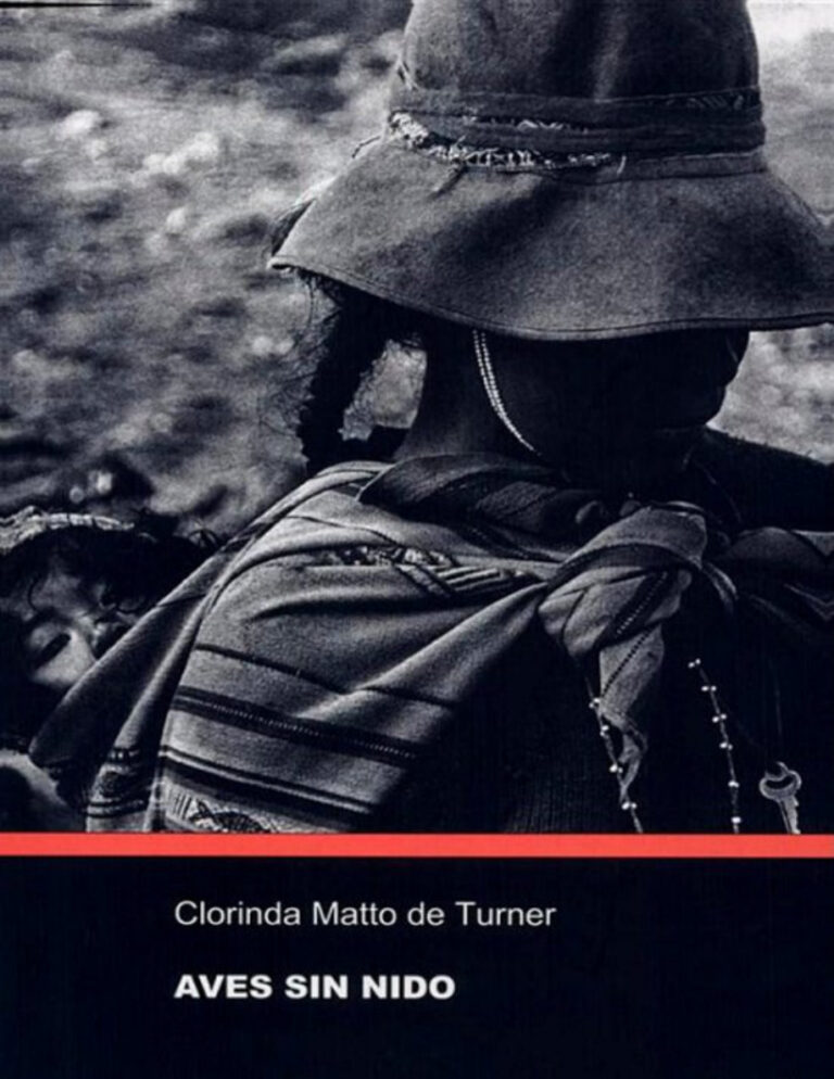Aves sin nido Spanish Edition Clorinda Matto De Turner Kitap Kapağı