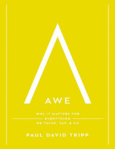 Awe Why It Matters for Everything We Think Say and Do Paul David Tripp Kitap Kapağı
