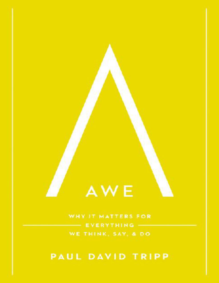 Awe Why It Matters for Everything We Think Say and Do Paul David Tripp Kitap Kapağı