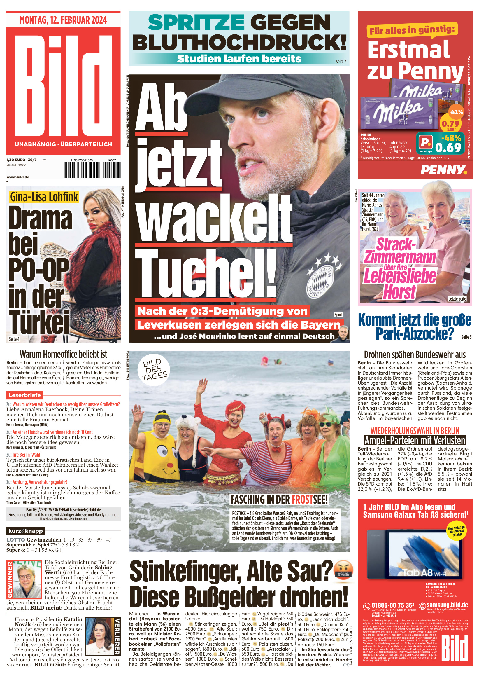 BILD - Februar 12 2024 PDF Download