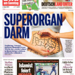 BILD am Sonntag Juni 02 2024 GER BILD am Sonntag Kitap Kapağı