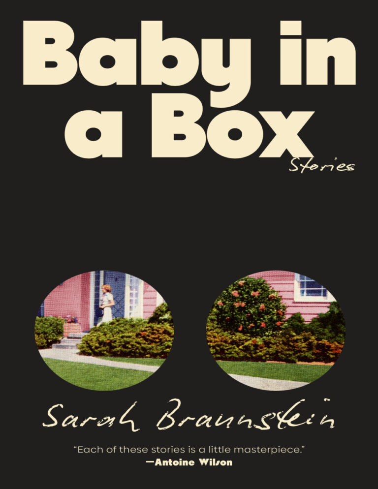 Baby in a Box Sarah Braunstein Kitap Kapağı
