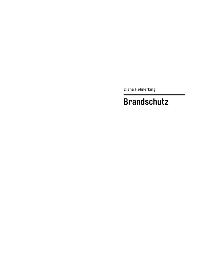 Basics Brandschutz PDF Download