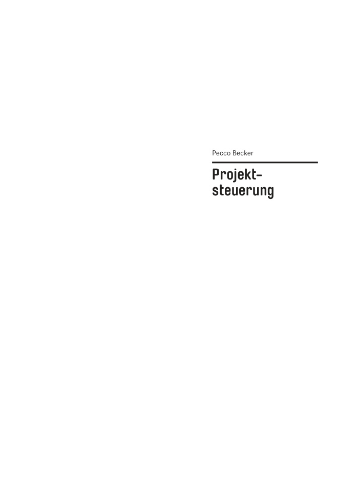 Basics Projektsteuerung PDF Download