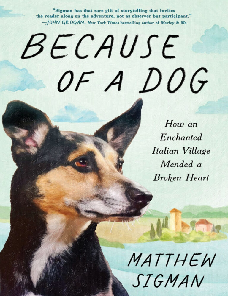 Because of a Dog Matthew Sigman Kitap Kapağı