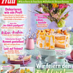 Bild der Frau Sonderheft Ostern No 02 2025 GER Politico Kitap Kapağı