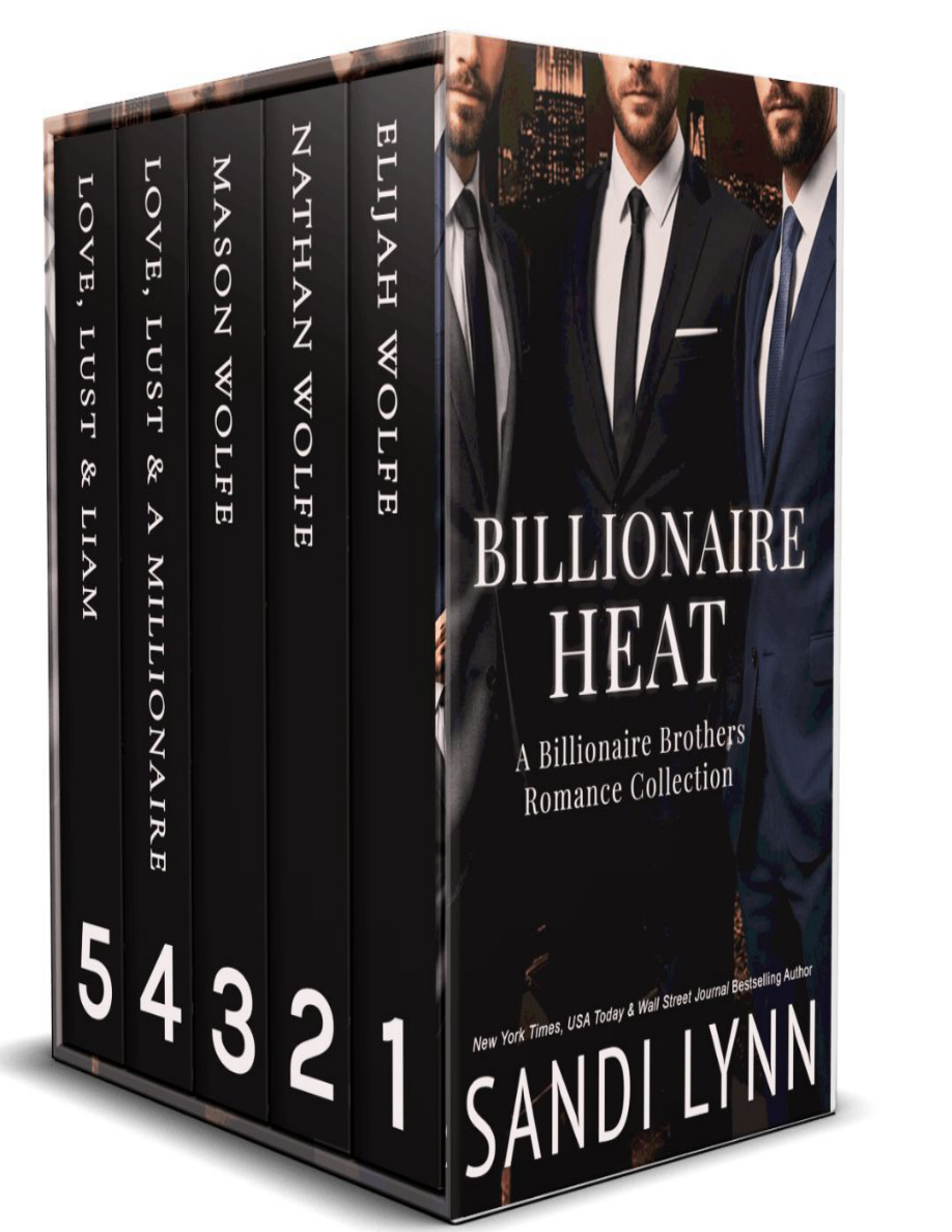 Billionaire Heat Sandi Lynn Kitap Kapağı