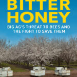 Bitter Honey Jenny Durant Kitap Kapağı