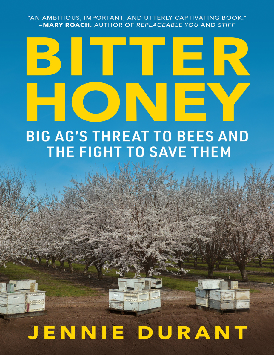 Bitter Honey PDF Download