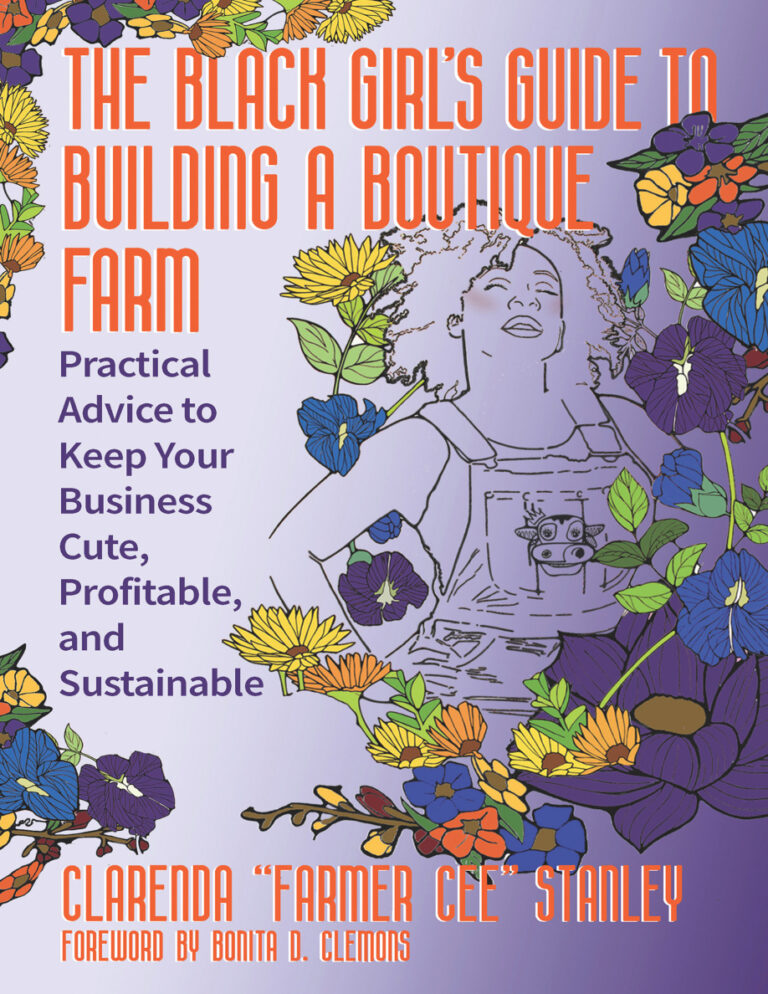 Black Girls Guide Building Boutique Farm ClarendaStanley Kitap Kapağı