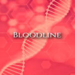 Bloodline Rotxinxpieces Kitap Kapağı