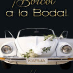 !Boicot a la boda Spanish Edition Hugo Sanz Kitap Kapağı
