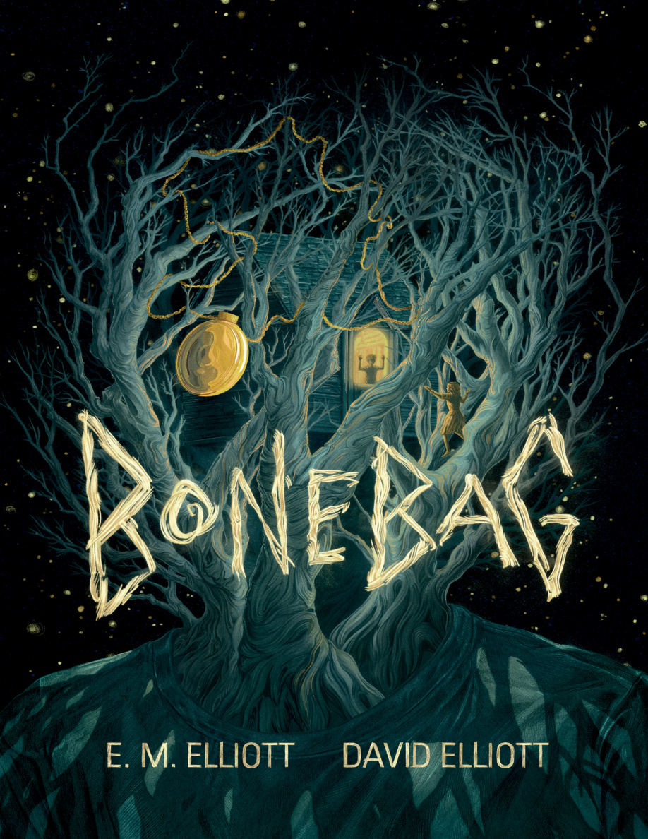 Bonebag PDF Download