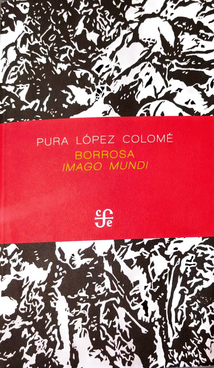 Borrosa imago mundi Spanish Edition Pura Lopez Colome Kitap Kapağı