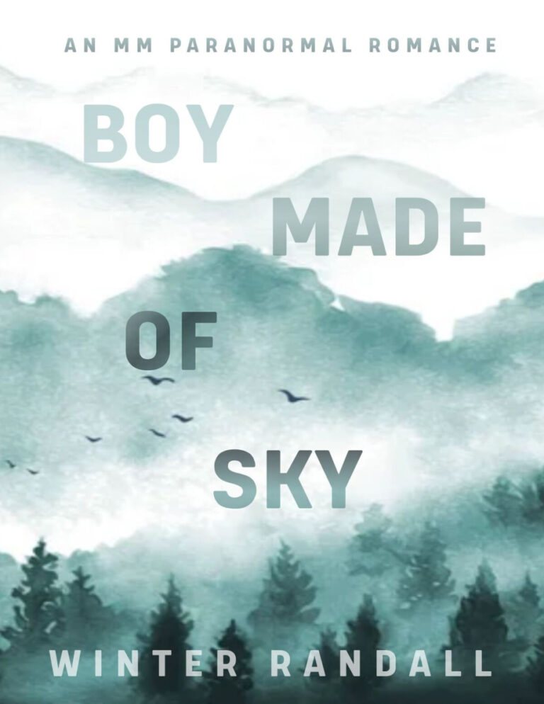 Boy Made of Sky Winter Randall Kitap Kapağı