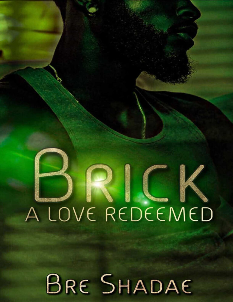 Brick A Love Redeemed Bre Shadae Kitap Kapağı
